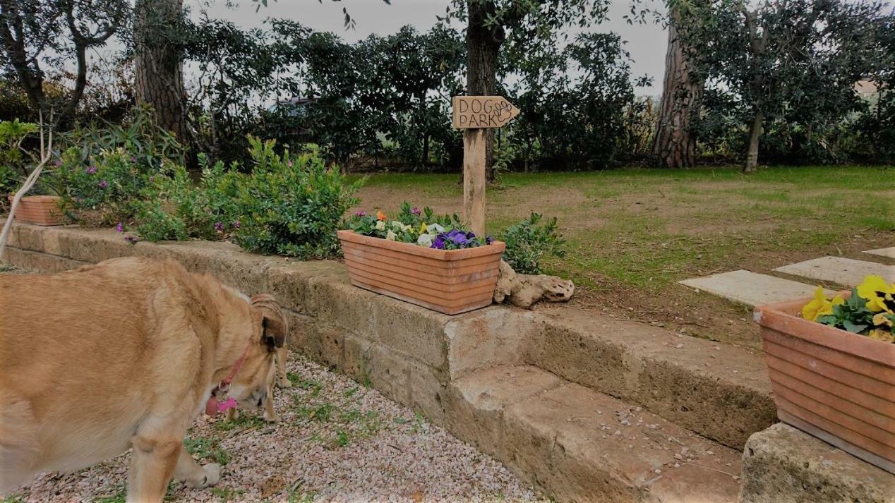 La Stanza Del Podere Isabella Hotell San Vincenzo Eksteriør bilde